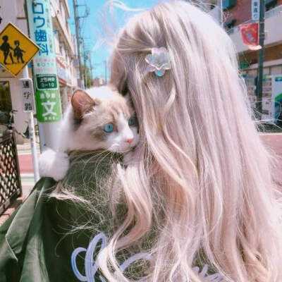 欢迎使用BOB半岛