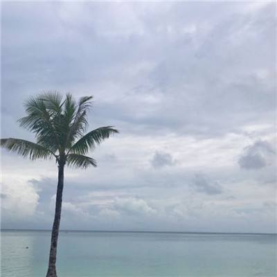 麻将胡了pg网站