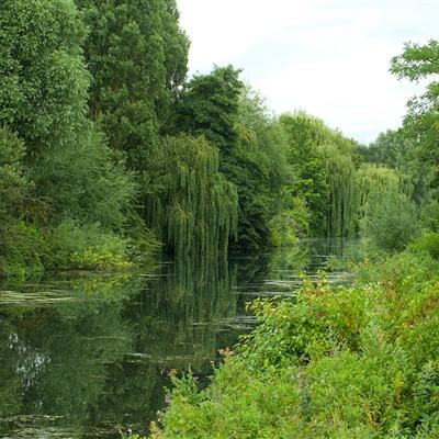 爱游戏com下载手机版