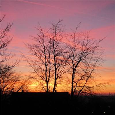 万博体育APP网址