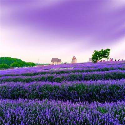 开元棋脾官方网站截图